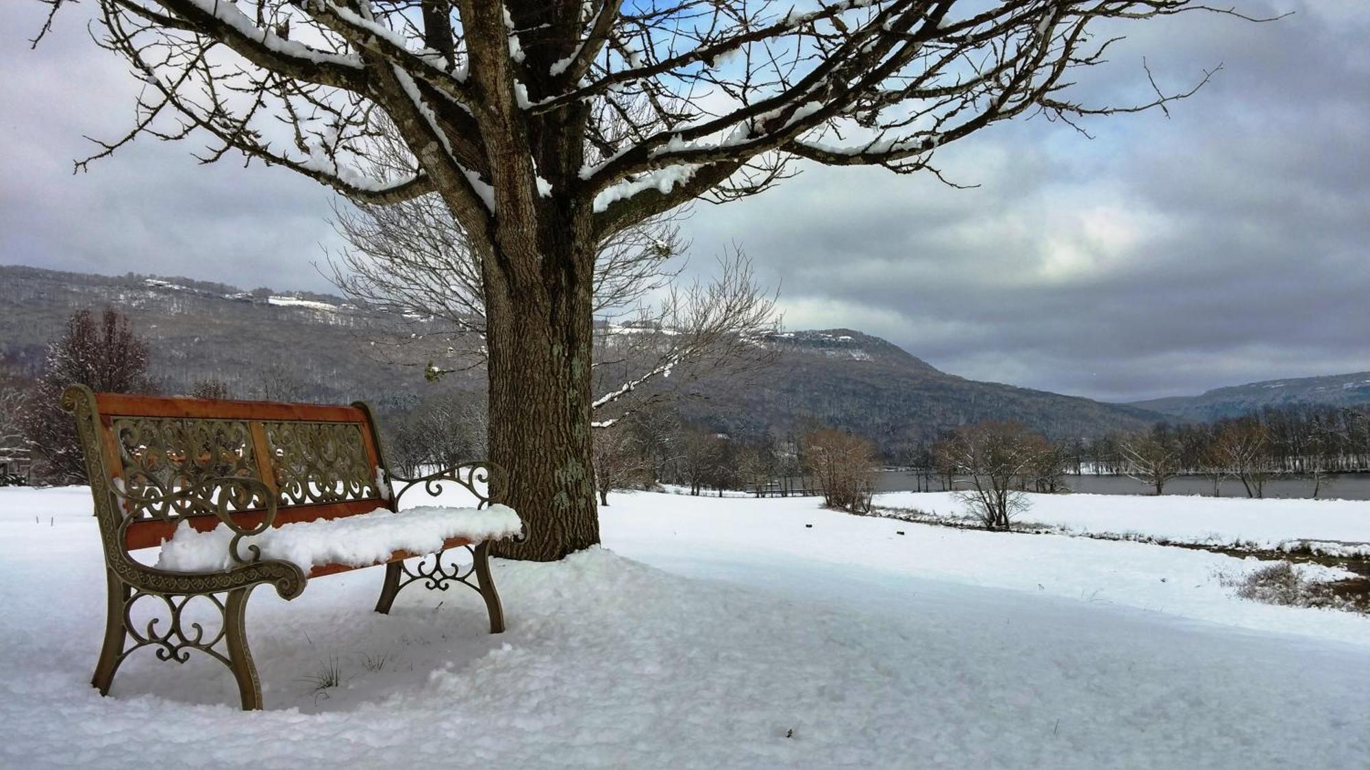 Elder Mountain Room At Tennessee Riverplace Чаттануґа Екстер'єр фото