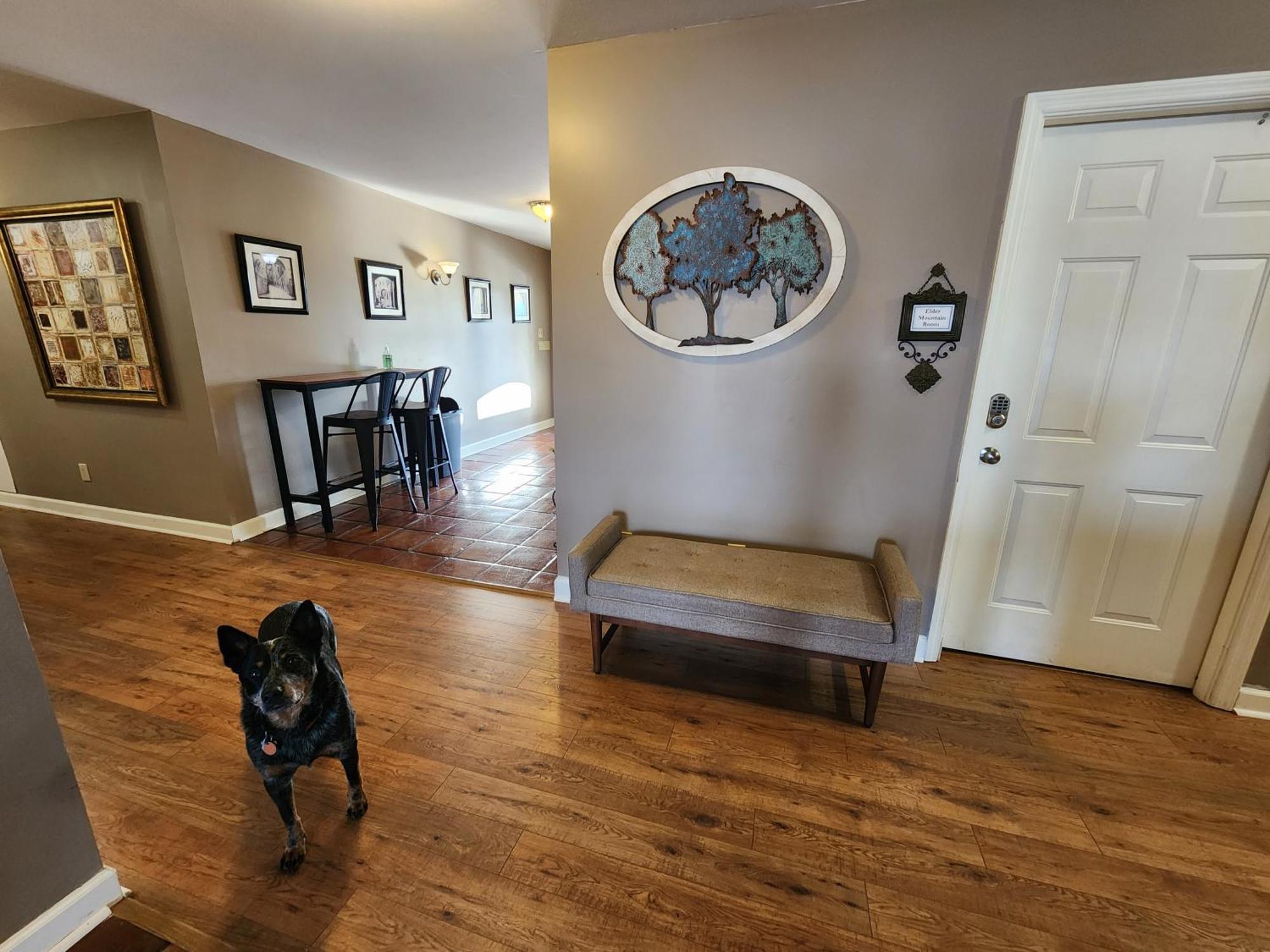 Elder Mountain Room At Tennessee Riverplace Чаттануґа Екстер'єр фото